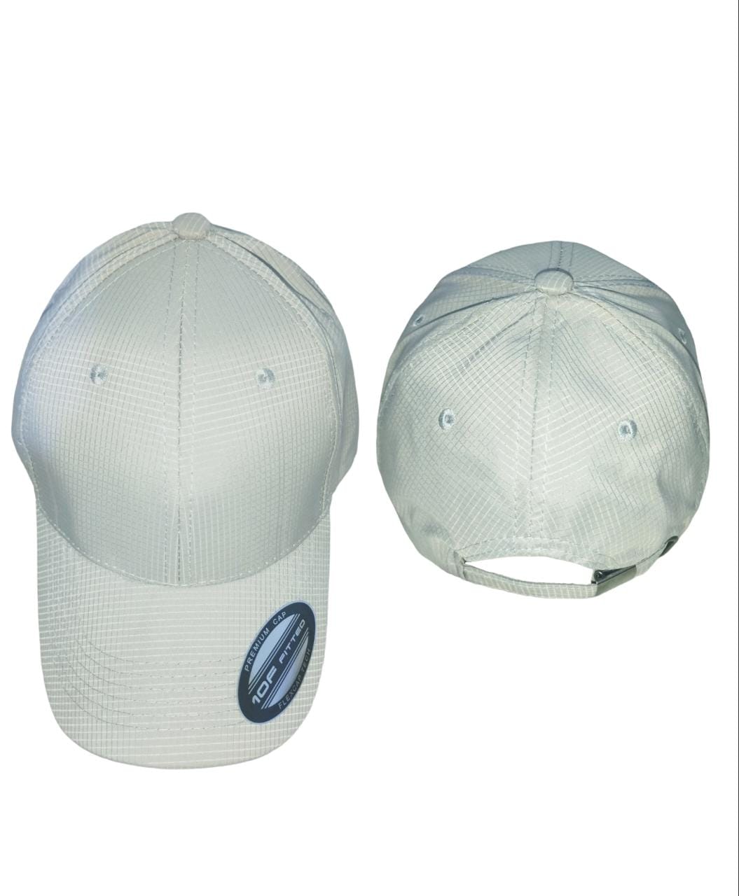 DVLModels - Gorra gris premium
